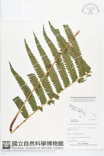 登錄號:BP02037藏品圖，第1張