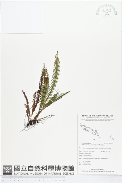 登錄號:BP01037藏品圖，第1張
