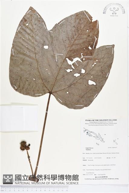 登錄號:BS04037藏品圖，第1張