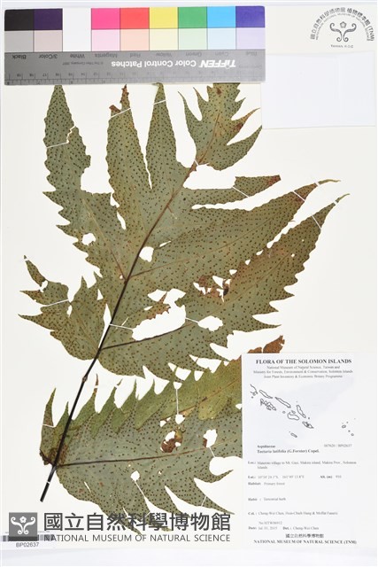 登錄號:BP02637藏品圖，第1張
