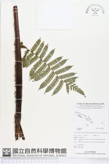 登錄號:BP00637藏品圖，第1張