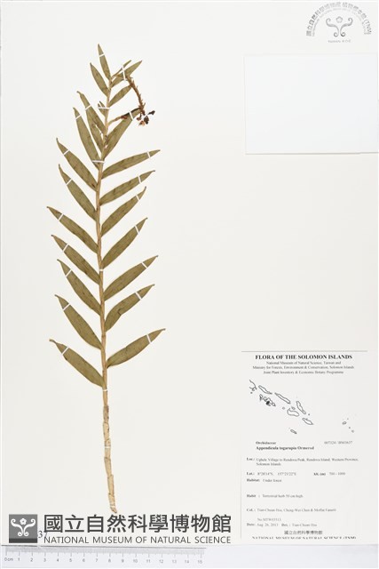 登錄號:BS03637藏品圖，第1張