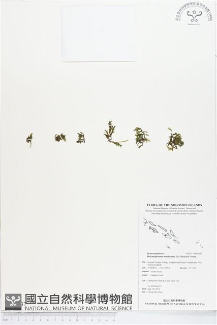 登錄號:BP00137藏品圖，第1張