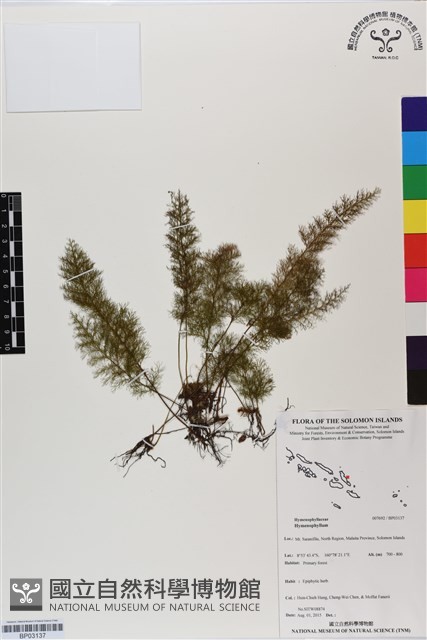 登錄號:BP03137藏品圖，第1張