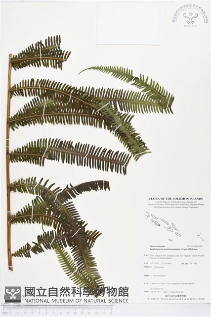 登錄號:BP01437藏品圖，第1張