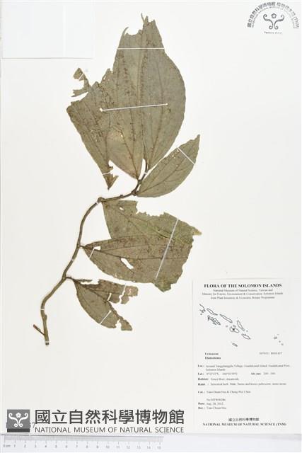 登錄號:BS01437藏品圖，第1張