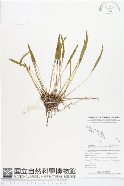 登錄號:BS03437藏品圖，第1張