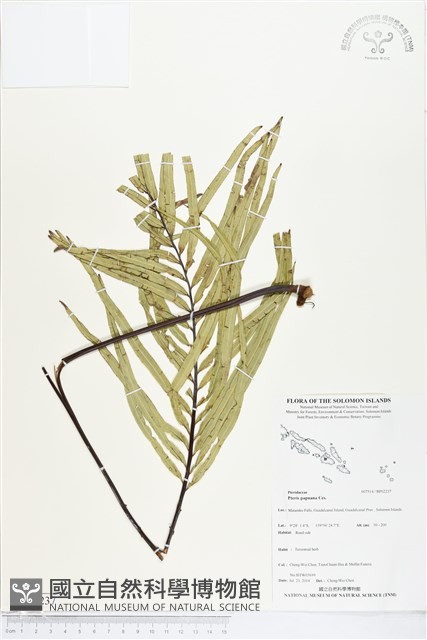 登錄號:BP02237藏品圖，第1張