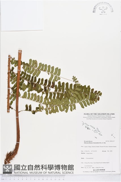 登錄號:BP01237藏品圖，第1張