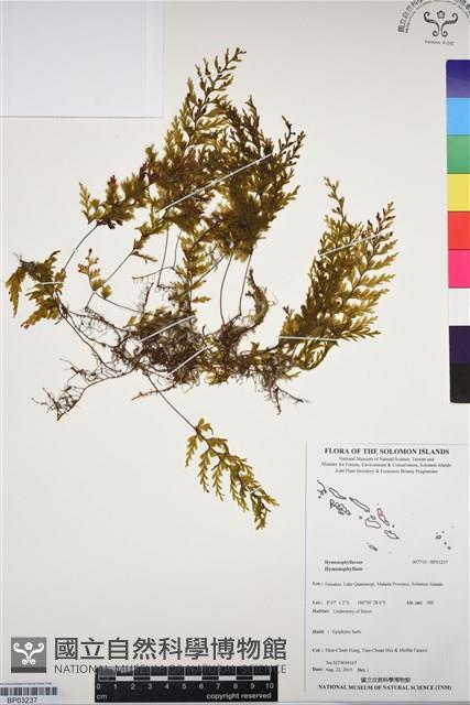 登錄號:BP03237藏品圖，第1張