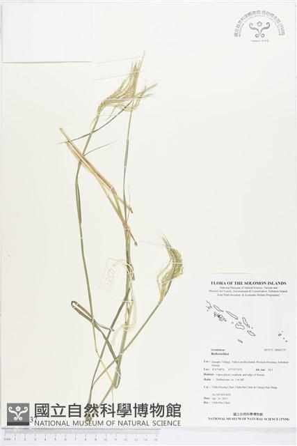 登錄號:BS02737藏品圖，第1張