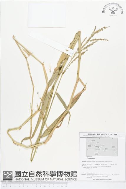 登錄號:BS01737藏品圖，第1張