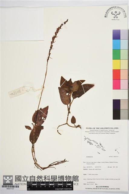 登錄號:BS07737藏品圖，第1張