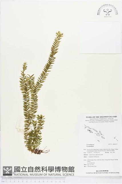 登錄號:BP00537藏品圖，第1張