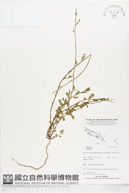 登錄號:BS04537藏品圖，第1張