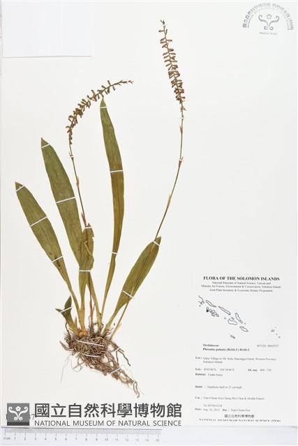 登錄號:BS03537藏品圖，第1張