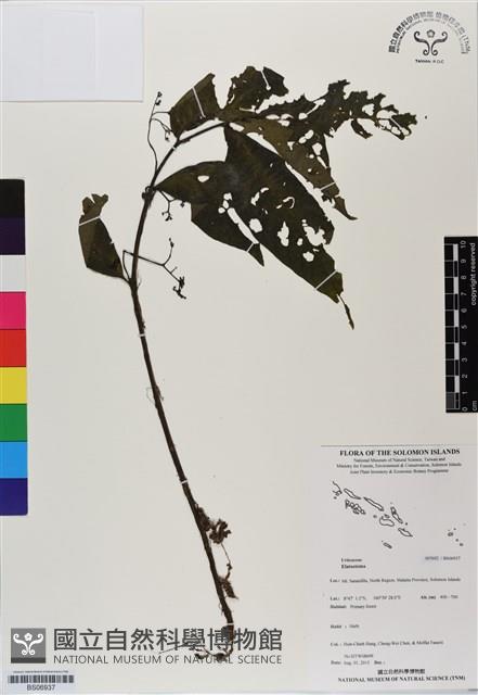 登錄號:BS06937藏品圖，第1張