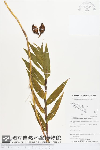 登錄號:BS03937藏品圖，第1張
