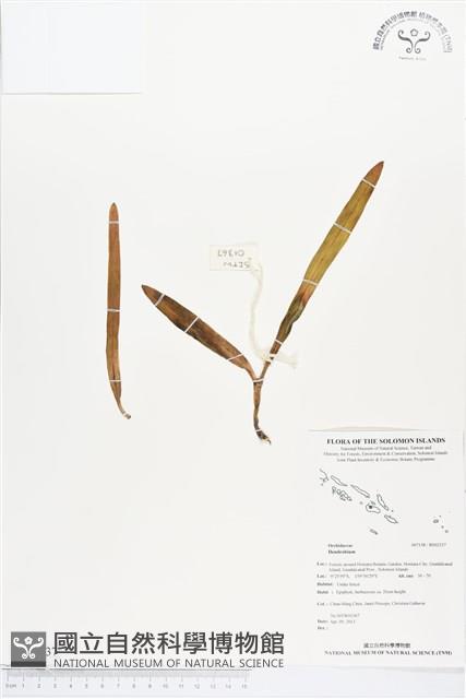 登錄號:BS02337藏品圖，第1張