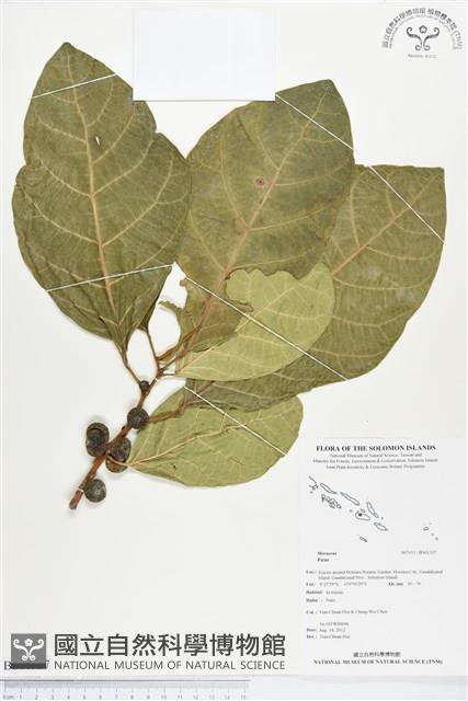 登錄號:BS01337藏品圖，第1張