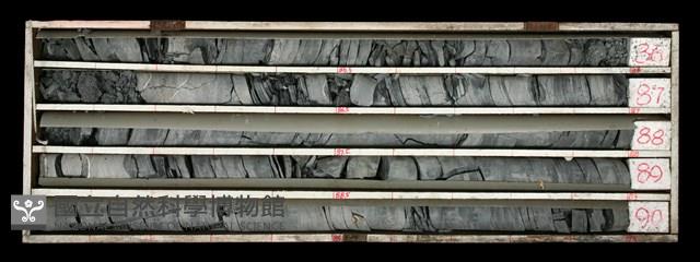 登錄號:C000526藏品圖，第2張