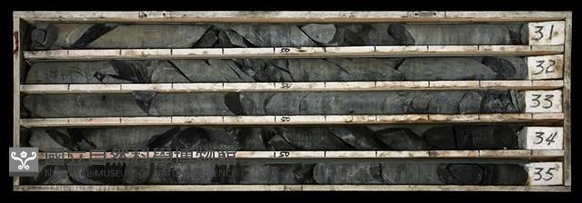 登錄號:C003526藏品圖，第1張