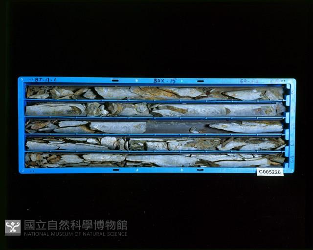 登錄號:C005226藏品圖，第2張