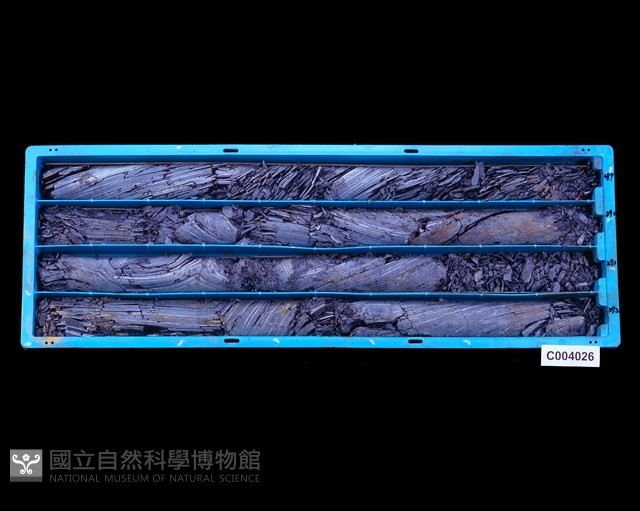 登錄號:C004026藏品圖，第1張