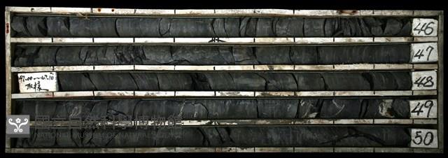 登錄號:C003386藏品圖，第1張