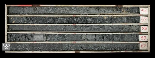 登錄號:C000486藏品圖，第1張