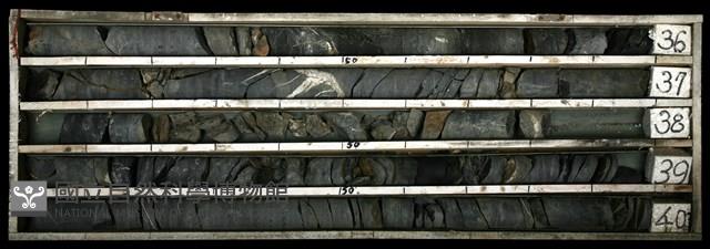 登錄號:C003396藏品圖，第1張