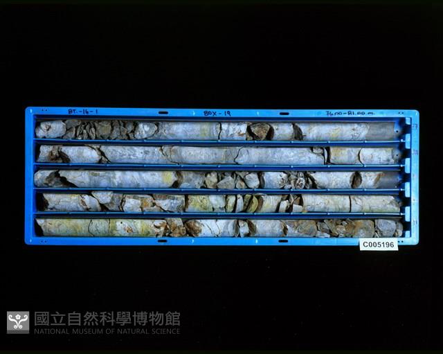 登錄號:C005196藏品圖，第2張