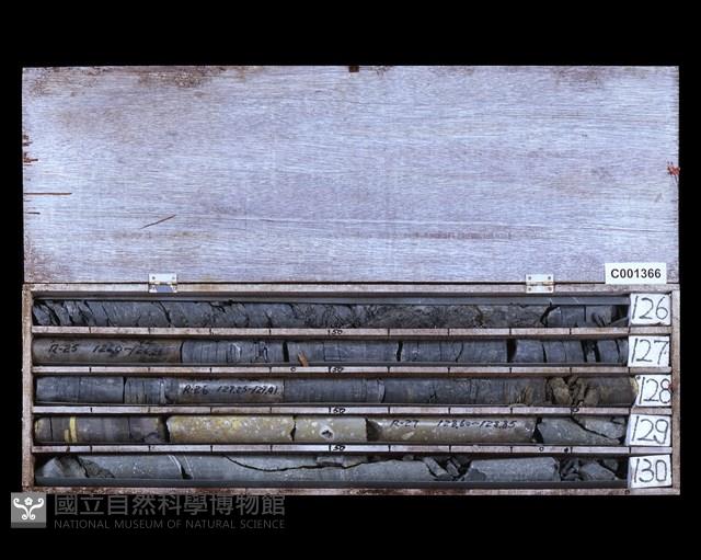 登錄號:C001366藏品圖，第2張