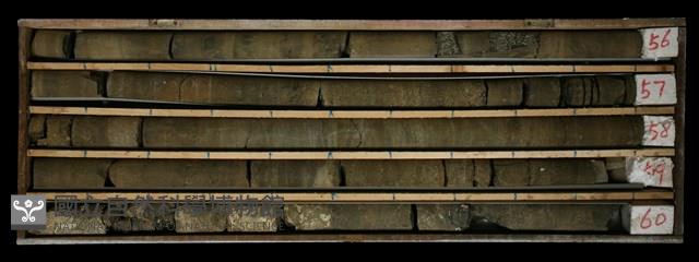 登錄號:C001566藏品圖，第2張