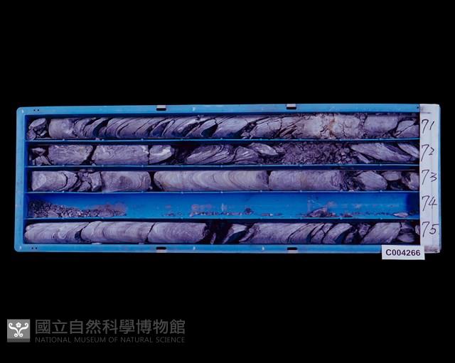 登錄號:C004266藏品圖，第2張