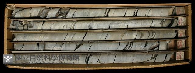 登錄號:C000766藏品圖，第2張