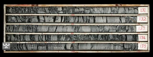 登錄號:C000466藏品圖，第1張