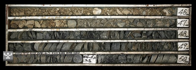 登錄號:C003666藏品圖，第1張