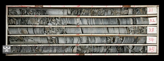 登錄號:C000446藏品圖，第1張