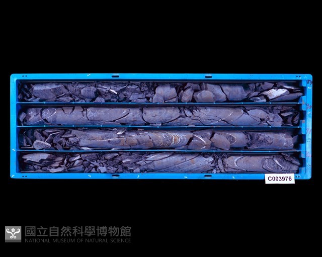 登錄號:C003976藏品圖，第1張