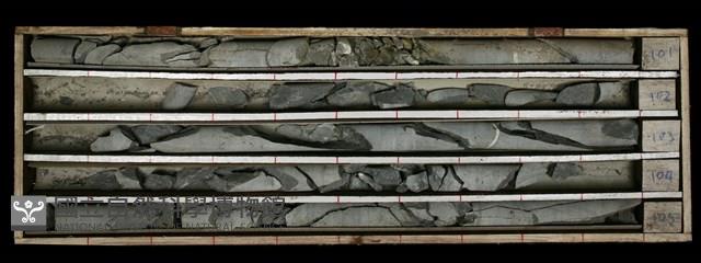 登錄號:C000556藏品圖，第2張