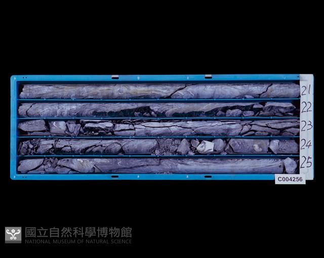 登錄號:C004256藏品圖，第2張