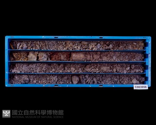 登錄號:C003956藏品圖，第1張