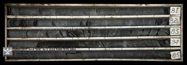 Accession Number:C003516 Collection Image