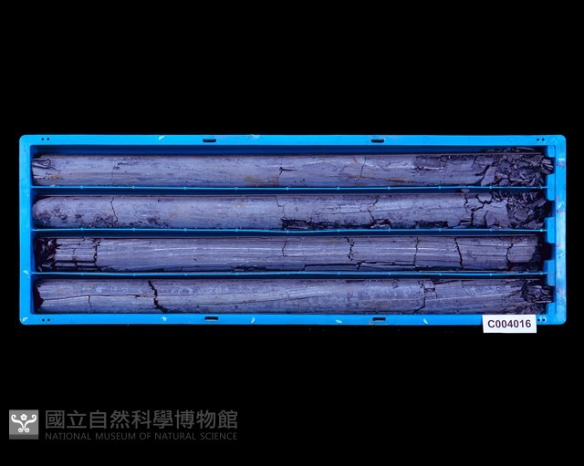 登錄號:C004016藏品圖，第1張