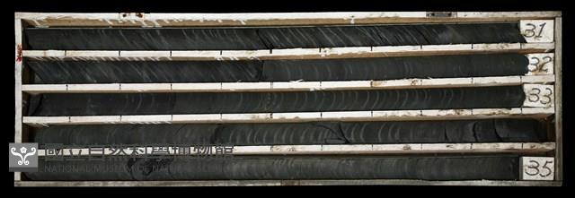 登錄號:C003506藏品圖，第1張