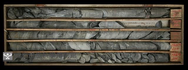 登錄號:C000706藏品圖，第1張