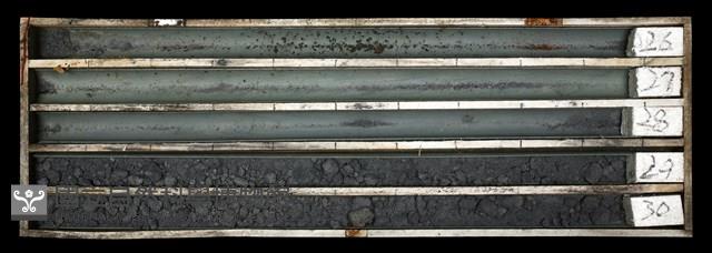 登錄號:C003706藏品圖，第1張