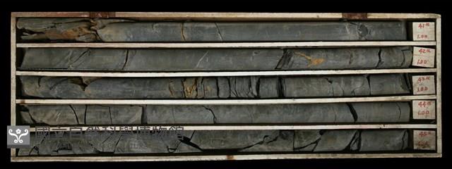 登錄號:C000606藏品圖，第2張