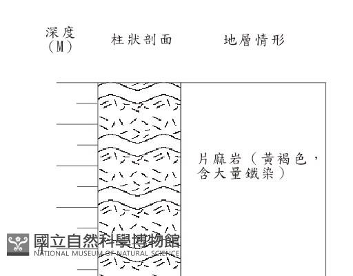 登錄號:C004336藏品圖，第2張